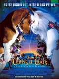 voir la fiche complète du film : Comme chiens et chats