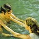 photo du film Camelot