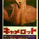 photo du film Camelot