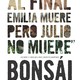 photo du film Bonsái
