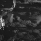 photo du film L'homme n'est pas un oiseau