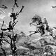 photo du film Le Baron de Crac