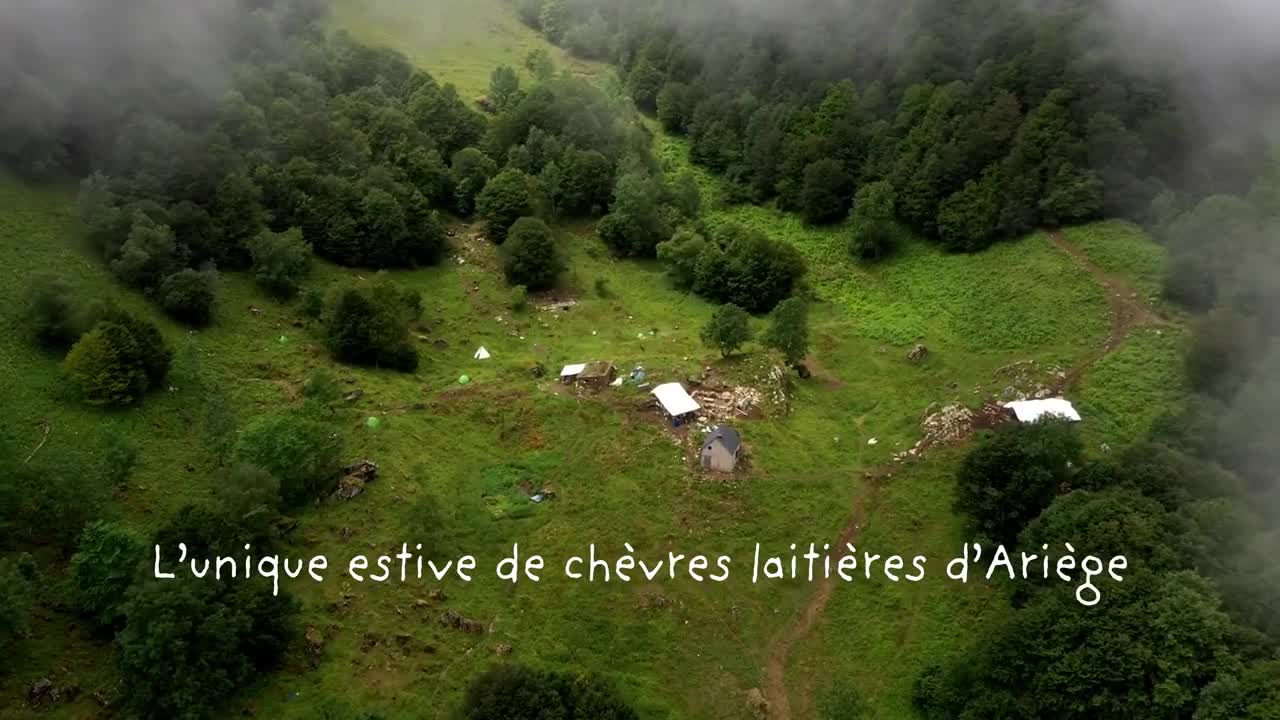 Extrait vidéo du film  La Réponse des bergers