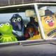 photo du film Les Muppets, ça c'est du cinéma