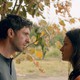 photo du film Dogs