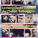 photo du film La Merveilleuse odyssée de l'idiot toboggan