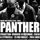 photo du film Panther