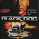 photo du film Black Dog