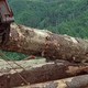photo du film Le Clan des irréductibles