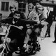 photo du film Les Sorciers innocents