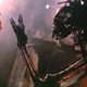 photo du film La Mutante 2
