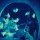 photo du film L'Oiseau bleu