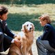 photo du film L'Incroyable Voyage