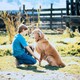 photo du film L'Incroyable Voyage