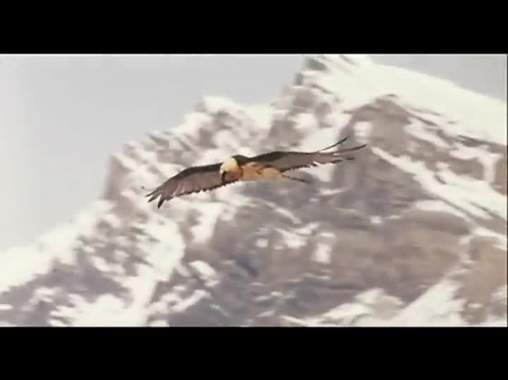 Extrait vidéo du film  Himalaya, l enfance d un chef