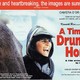 photo du film Un temps pour l'ivresse des chevaux