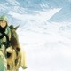 photo du film Un temps pour l'ivresse des chevaux