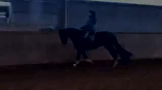 Extrait vidéo du film  Viva la vie !