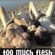 photo du film Too Much Flesh