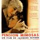 photo du film Pension Mimosas