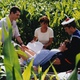 photo du film Mercredi folle journée