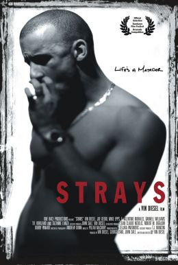 voir la fiche complète du film : Strays