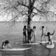 photo du film Surfwise