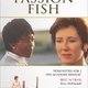 photo du film Passion fish