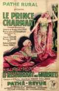 voir la fiche complète du film : Le Prince charmant
