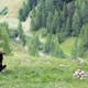 photo du film L'Aigle et l'enfant