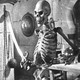 photo du film Le Septième voyage de Sinbad