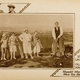 photo du film Should Married Men go Home