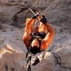 photo du film Cliffhanger