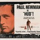 photo du film Le plus sauvage d'entre tous