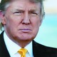 Voir les photos de Donald Trump sur bdfci.info