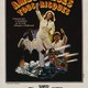 photo du film Ambulances tous risques