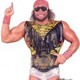 Randy Savage