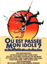 voir la fiche complète du film : Où est passée mon idole ?