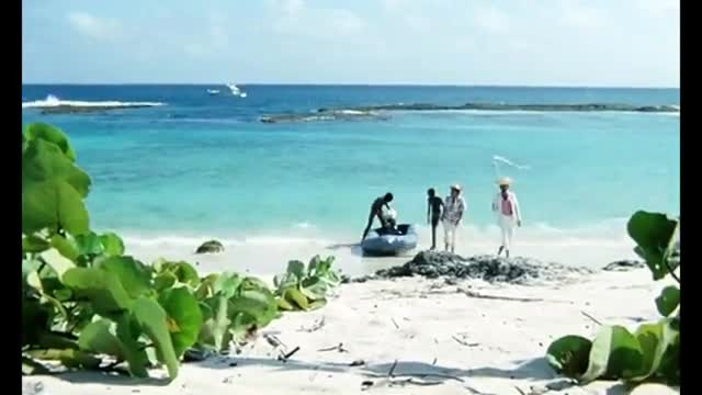 Extrait vidéo du film  Les Naufragés de l ile de la Tortue