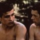 photo du film Les Roseaux sauvages