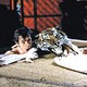 photo du film Le Magnifique
