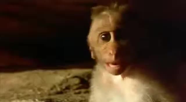Extrait vidéo du film  Hanuman