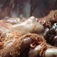 photo du film La Quatrieme Rencontre