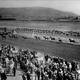 photo du film La Course de Broadway Bill