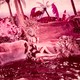 photo du film Pousse-toi, chérie