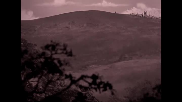 Un extrait du film  La Grande parade