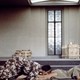 photo du film La Lectrice