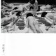 photo du film Les Anges violés