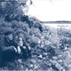 photo du film Dans ce pays-la