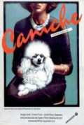 voir la fiche complète du film : Caniche